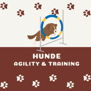 Agility & Training