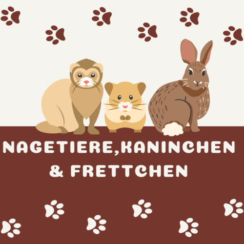 Nagetiere, Kaninchen & Frettchen