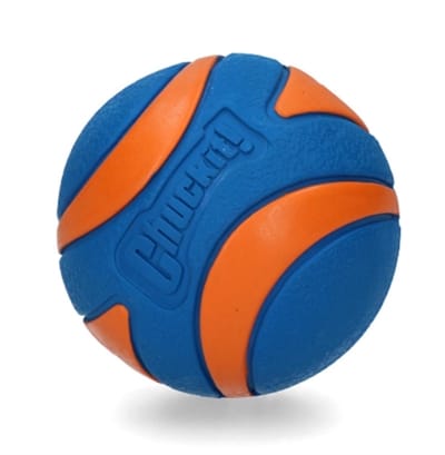 CHUCKIT Ultra-Quietsche-Ball