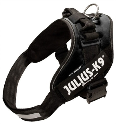 JULIUS K9 IDC-Hundegeschirr mit Halterung für Etiketten schwarz