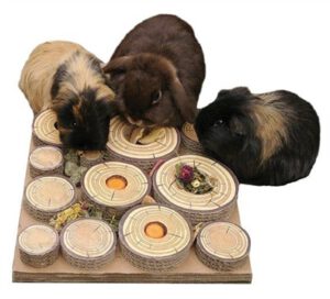 ROSEWOOD Labyrinth für Nagetiere und Kaninchen