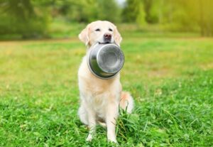 HAPPY PET Edelstahl Futter- oder Trinknapf