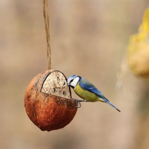 BEST FOR BIRDS Kokosnuss gefüllt mit Fett 350 Gramm