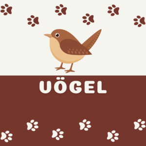 Vögel