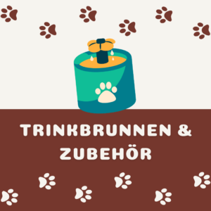 Trinkbrunnen & Zubehör